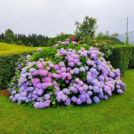 Heaven Wait Country Retreat *