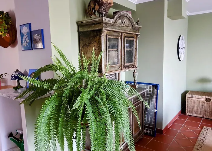 Heaven Wait Country Retreat *