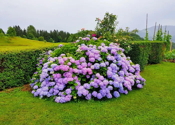 Heaven Wait Country Retreat *