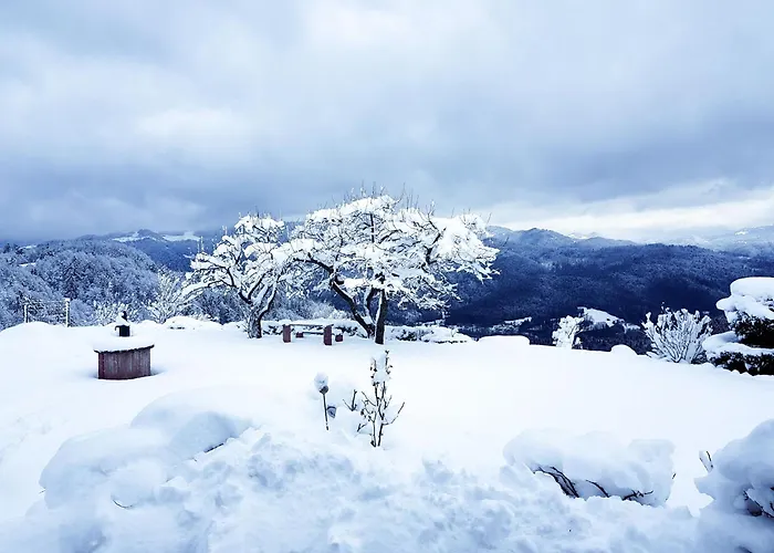 Heaven Wait Country Retreat *